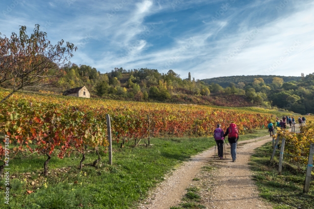 1000_F_427973887_fqahTM8ws7KXDa3lbUE92TBwqnphzpHU